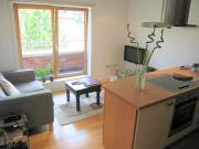 1 bedroom flat to rent
