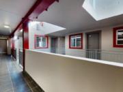 1 Bedroom Flat to Rent in Maitland Cape Town