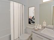 1 Bedroom for rent in Tower Lane Terrace Apartments in...