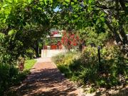 1 Bedroom Garden Cottage To Let in Klein Nederburg