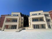 1 bedroom ground flat to rent