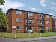 1 bedroom ground flat to rent