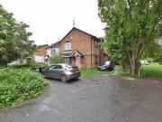 1 bedroom ground flat to rent