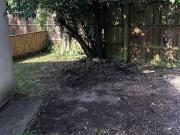 1 bedroom ground floor flat to rent