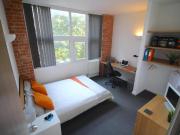 1 bedroom house for rent in Lower Brown Street,...