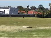 1 Bedroom House in Table View