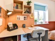 1 bedroom house of multiple occupation to rent