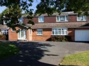 1 bedroom house share for rent in Old Mill Avenue,...