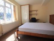 1 bedroom house share to rent