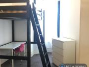 1 bedroom house share to rent