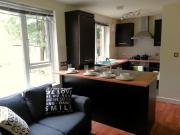 1 bedroom house share to rent