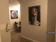 1 bedroom house share to rent