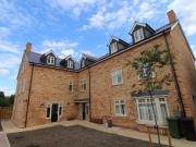 1 bedroom house share to rent