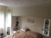 1 bedroom house share to rent