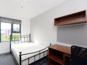 1 bedroom house share to rent