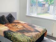1 bedroom house share to rent