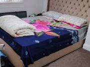 1 bedroom house share to rent