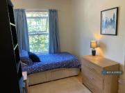 1 bedroom house share to rent