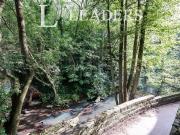 1 bedroom house to rent