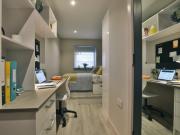 1 bedroom house to rent