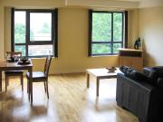 1 bedroom house to rent