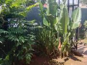 1 Bedroom house to rent