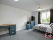 1 bedroom house share to rent