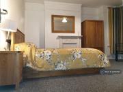 1 bedroom in a house share to rent