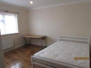 1 bedroom in a house share to rent