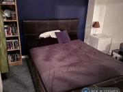 1 bedroom in a house share to rent
