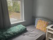 1 bedroom in a house share to rent