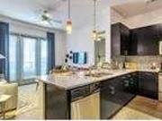1 bedroom in Dallas TX 75235