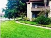 1 bedroom in Saint Petersburg Florida 33702