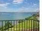 1 bedroom in Saint Petersburg Florida 33715