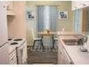 1 bedroom in Tampa FL 33634