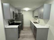 1 Bedroom lower Unit in Brighton 1 Bedroom Apartment for...