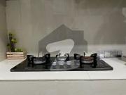 1 Bedroom Luxury Furnished Flat Available For Rent In E...