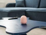 1 bedroom maisonette to rent