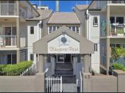 1 Bedroom Modern Apartment at Kangaroo Point 45 Wharf...