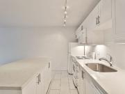 1 Bedroom Open Concept