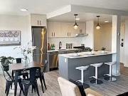 1 Bedroom Ottawa Pet Friendly Apartment For Rent Centretown.