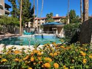 1 bedroom, Phoenix AZ 85016 95664951