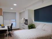 1 bedroom private halls to rent