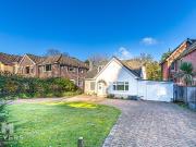 1 bedroom property to rent