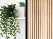 1 bedroom property to rent 1 bedroom property to rent