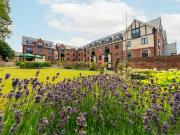 1 bedroom retirement property to rent