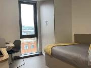 1 Bedroom Shared Living/roommate Belfast Belfast 90469009