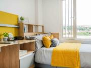 1 Bedroom Shared Living/roommate Brighton Brighton 90470862