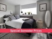 1 Bedroom Shared Living/roommate Bristol Bristol 90506569