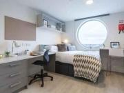 1 Bedroom Shared Living/roommate Cardiff Cardiff 90422115